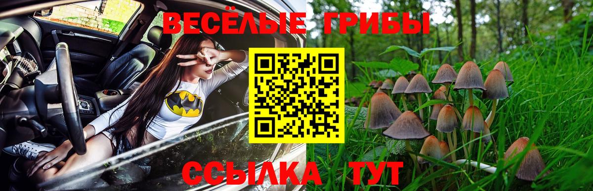 Галлюциногенные грибы ЛСД Борзя